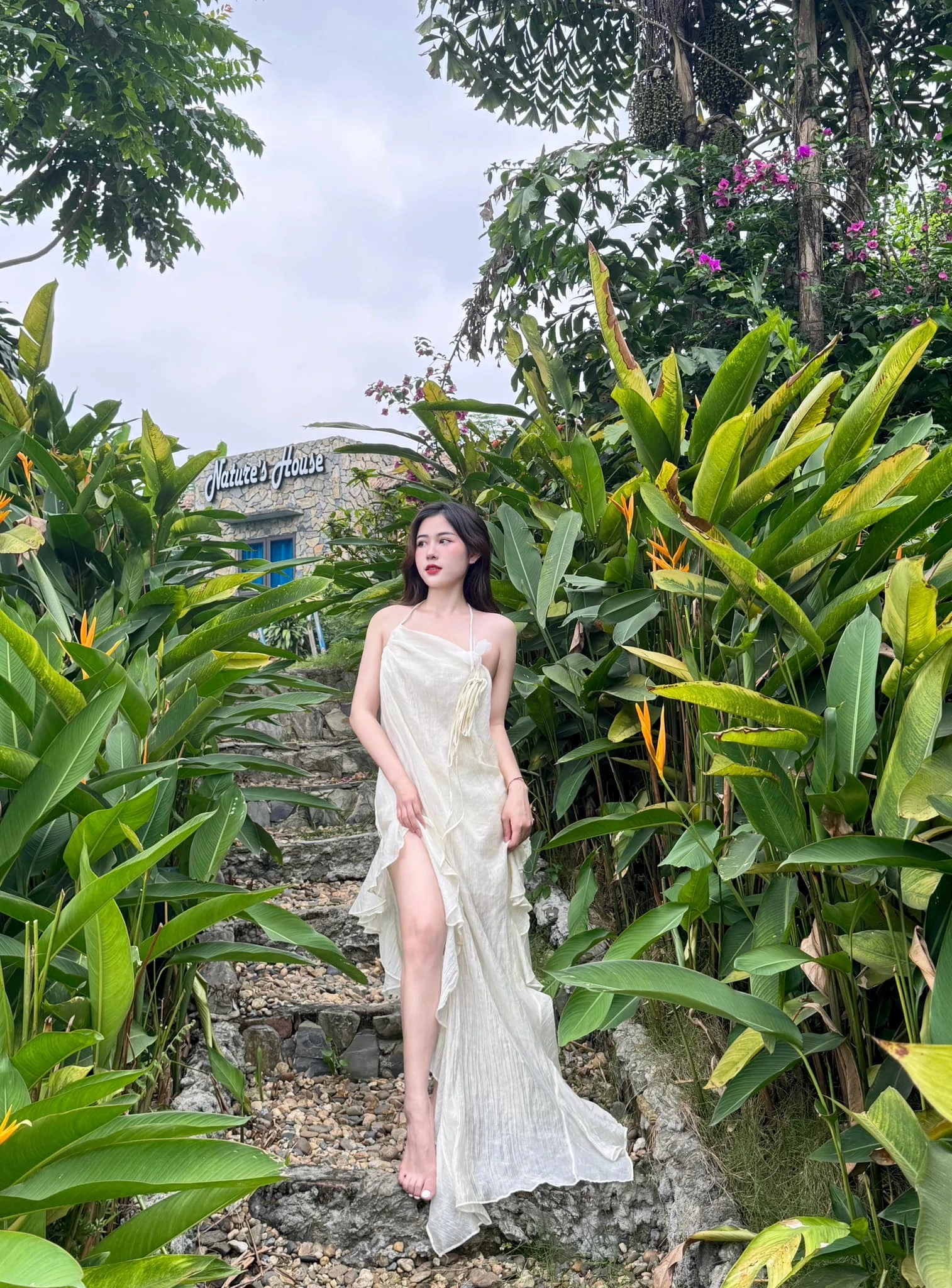 Chu hạ an 3