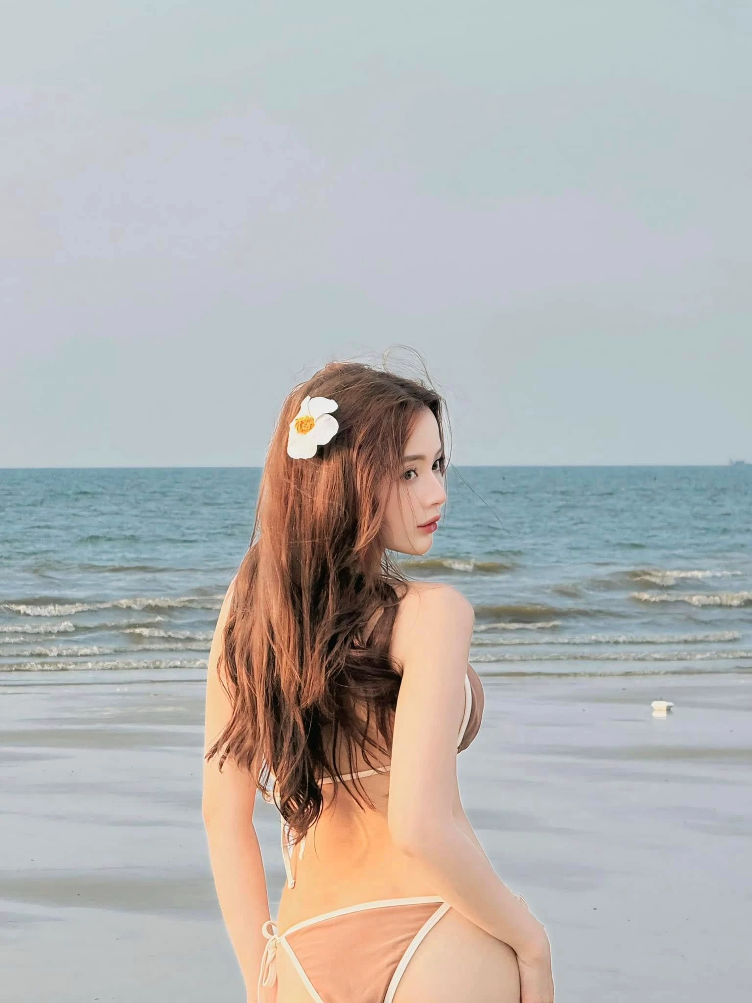 Lan hương 8
